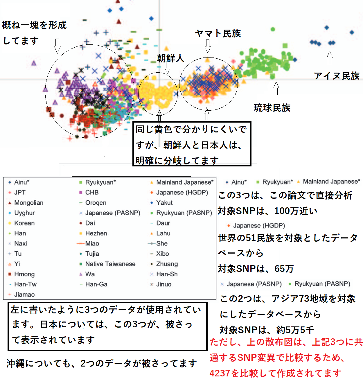 朝鮮人が日本人や他のアジア人と明確に異なることを示すDNA解析図